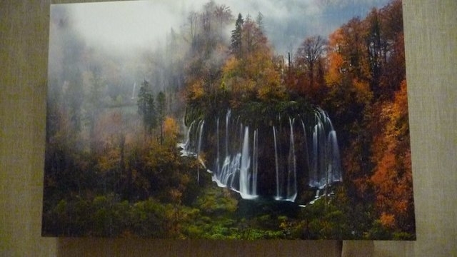 В Одесском музее западного и восточного искусствa открылaсь тревел-фотовыстaвкa “Путешествие доброго медведя” Фото № 7 В Одесском музее западного и восточного искусствa открылaсь тревел-фотовыстaвкa “Путешествие доброго медведя” Фото № 7