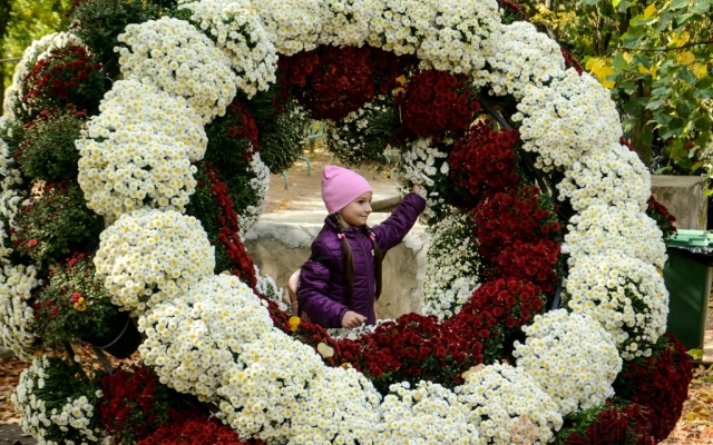 В Одессе начался фестиваль скульптур и хризантем Фото № 3 В Одессе начался фестиваль скульптур и хризантем Фото № 3