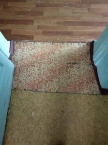 Жители Сараты показали обшарпанные стены и очень страшные матрасы в детском отделении местной больницы (ФОТО) Фото № 5 Жители Сараты показали обшарпанные стены и очень страшные матрасы в детском отделении местной больницы (ФОТО) Фото № 5