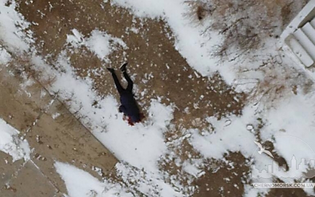 В Черноморске с окна многоэтажки выпал студент (ФОТО 18+) Фото № 0 В Черноморске с окна многоэтажки выпал студент (ФОТО 18+) Фото № 0