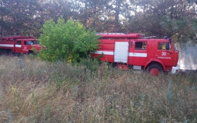 В Великодолинском лесничестве горела сухая трава Фото № 0 В Великодолинском лесничестве горела сухая трава Фото № 0
