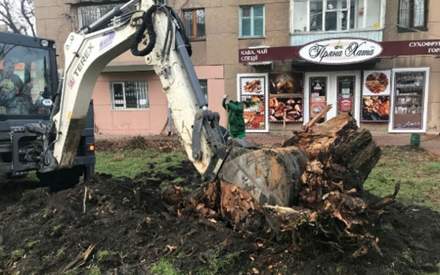За неделю в Одессе высадили более 60-ти деревьев Фото № 2 За неделю в Одессе высадили более 60-ти деревьев Фото № 2