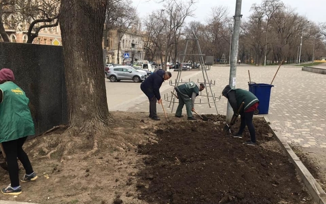 В парке Одессы начали высаживать весенние цветы (ФОТО) Фото № 0 В парке Одессы начали высаживать весенние цветы (ФОТО) Фото № 0