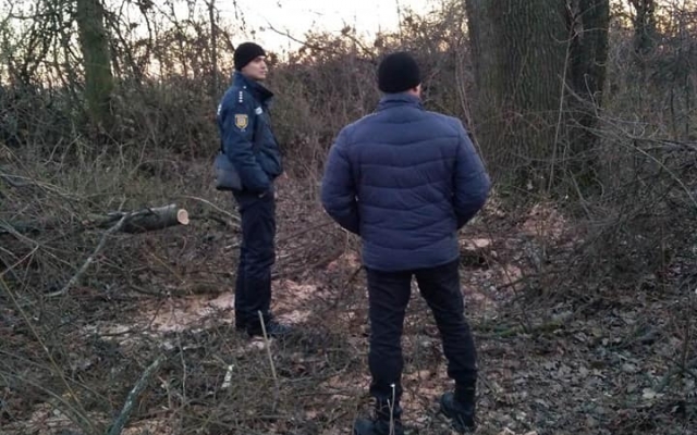 Браконьеры вырубили деревья в Беляевском районе Фото № 3 Браконьеры вырубили деревья в Беляевском районе Фото № 3
