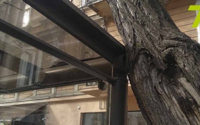В Одессе дерево рухнуло на остановку Фото № 0 В Одессе дерево рухнуло на остановку Фото № 0