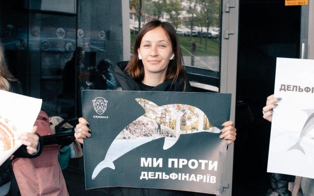 Одесситы митинговали под дельфинарием (ФОТО) Фото № 1 Одесситы митинговали под дельфинарием (ФОТО) Фото № 1
