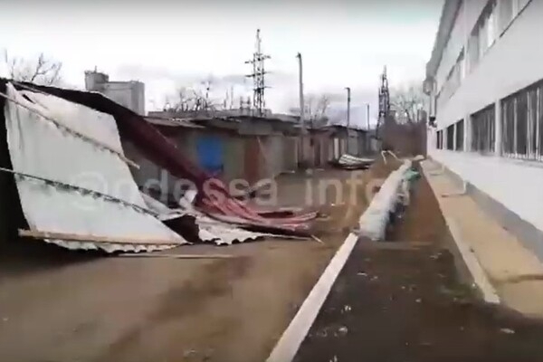 Ветер повалил почти 150 деревьев и оставил одесситов без тепла Фото № 0 Ветер повалил почти 150 деревьев и оставил одесситов без тепла Фото № 0