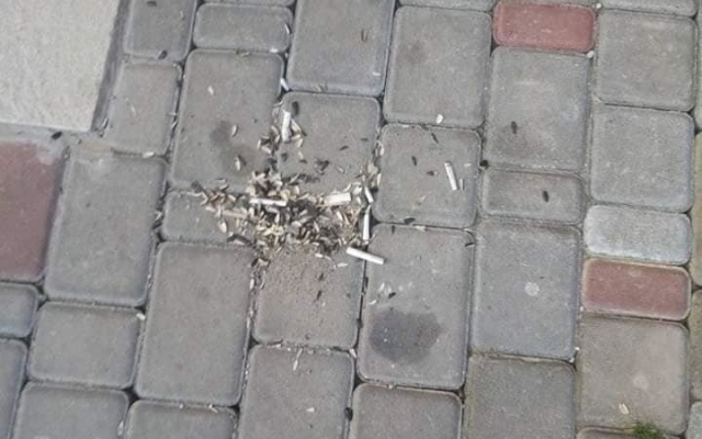 Подростки из офиса Подростки из офиса