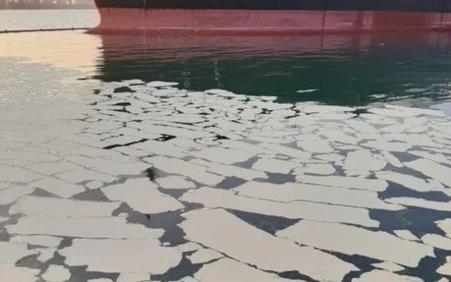 Корабль, который разлил пальмовое масло в порту, отпустили без возмещения ущерба Фото № 0 Корабль, который разлил пальмовое масло в порту, отпустили без возмещения ущерба Фото № 0