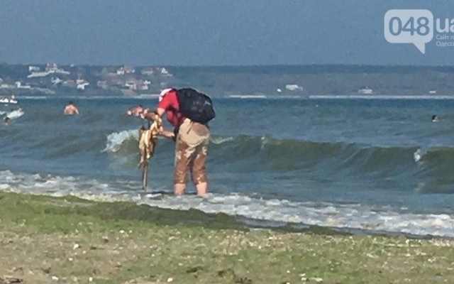 Фотофакт: на пляже в Одессе продавец мыл рыбу прямо в море Фото № 2 Фотофакт: на пляже в Одессе продавец мыл рыбу прямо в море Фото № 2