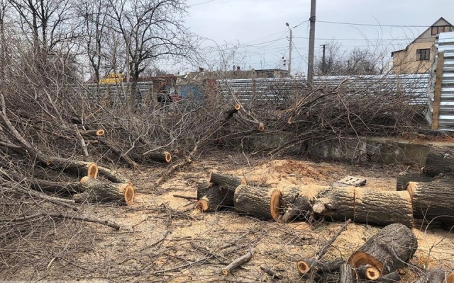 В Одессе ради АЗС вырубили деревья Фото № 2 В Одессе ради АЗС вырубили деревья Фото № 2