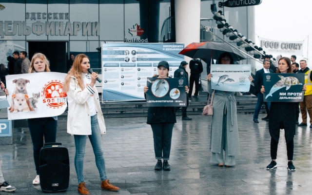 Одесситы митинговали под дельфинарием (ФОТО) Фото № 0 Одесситы митинговали под дельфинарием (ФОТО) Фото № 0