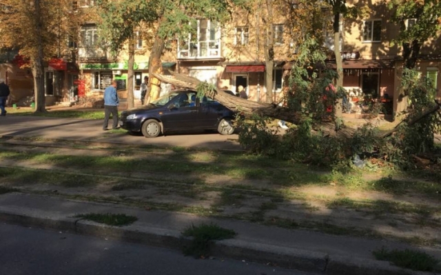 Огромная ветка упала на припаркованный автомобиль (ФОТО) Фото № 0 Огромная ветка упала на припаркованный автомобиль (ФОТО) Фото № 0