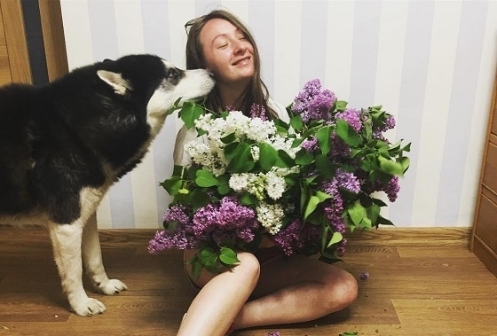 Фестиваль Фестиваль