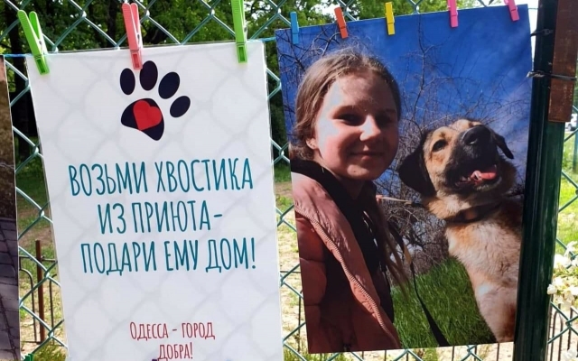 В Одессе открылась выставка детских рисунков с возможностью взять домой питомца Фото № 0 В Одессе открылась выставка детских рисунков с возможностью взять домой питомца Фото № 0