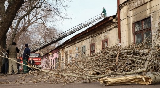 Геннадий Труханов встретился с жильцами дома, пострадавшего от рухнувшего дерева Фото № 1 Геннадий Труханов встретился с жильцами дома, пострадавшего от рухнувшего дерева Фото № 1