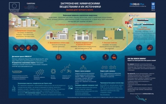 Черное море возрождается: замечены осетр и белуга Фото № 0 Черное море возрождается: замечены осетр и белуга Фото № 0