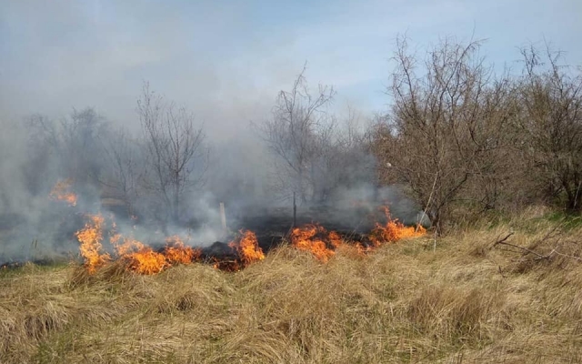 Спасатели второй день тушат пожар в национальном парке Фото № 0 Спасатели второй день тушат пожар в национальном парке Фото № 0