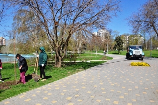 Десять деревьев сакуры украсили одесский парк Фото № 2 Десять деревьев сакуры украсили одесский парк Фото № 2