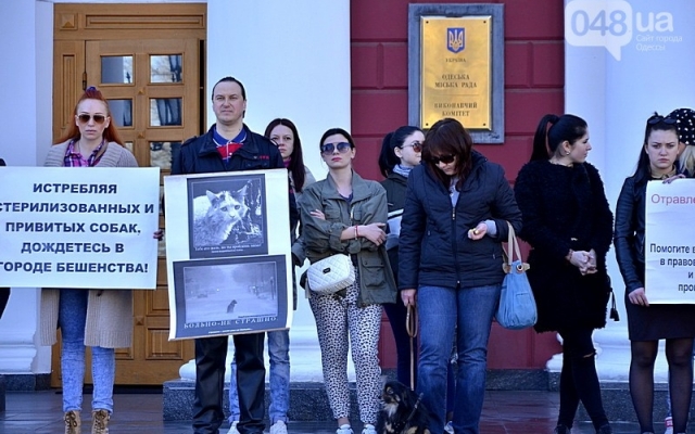 В Одессе зоозащитники устроили митинг под мэрией Фото № 7 В Одессе зоозащитники устроили митинг под мэрией Фото № 7