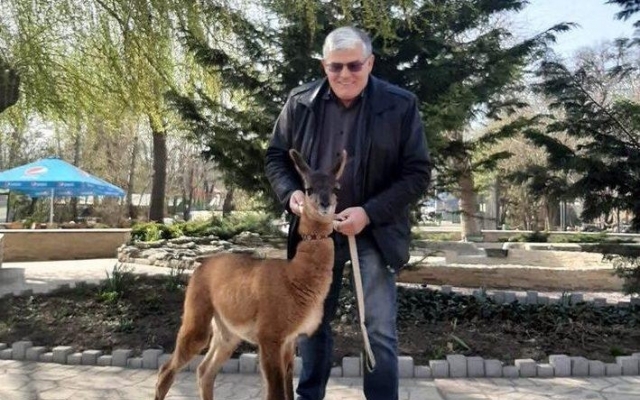 В Одесском зоопарке начался бэби-бум Фото № 0 В Одесском зоопарке начался бэби-бум Фото № 0