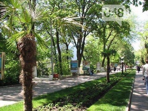 Одесситам напомнили как выглядела Аркадия раньше (ФОТО) Фото № 4 Одесситам напомнили как выглядела Аркадия раньше (ФОТО) Фото № 4