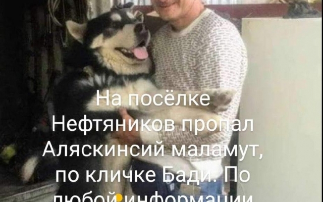 История одесского «Хатико» завершилась счастливо Фото № 1 История одесского «Хатико» завершилась счастливо Фото № 1