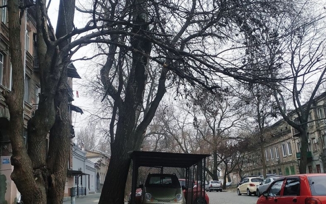 В Одессе есть клетка для маленького автомобиля Фото № 0 В Одессе есть клетка для маленького автомобиля Фото № 0