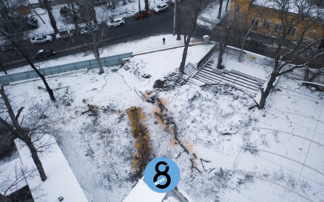 На Даче Маразли застройщики начали рубить деревья Фото № 0 На Даче Маразли застройщики начали рубить деревья Фото № 0