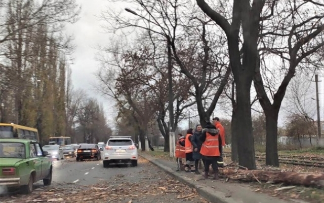 Ветер повалил в Одессе десятки деревьев Фото № 2 Ветер повалил в Одессе десятки деревьев Фото № 2