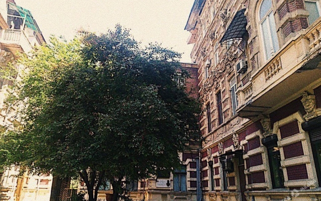 Уникальные дворики и парадные центра Одессы, о которых мало кто знает Фото № 11 Уникальные дворики и парадные центра Одессы, о которых мало кто знает Фото № 11