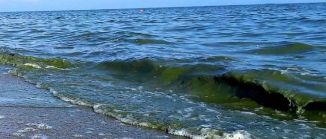 В Одессе теперь можно купаться на всех пляжах Фото № 0 В Одессе теперь можно купаться на всех пляжах Фото № 0