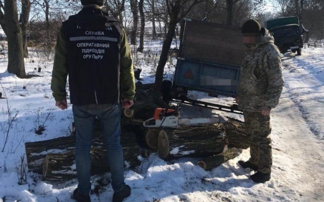 В Одесской области сгорел автомобиль черных лесорубов Фото № 0 В Одесской области сгорел автомобиль черных лесорубов Фото № 0