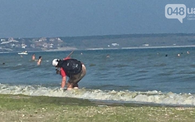 Фотофакт: на пляже в Одессе продавец мыл рыбу прямо в море Фото № 1 Фотофакт: на пляже в Одессе продавец мыл рыбу прямо в море Фото № 1