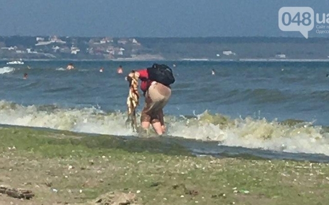 Фотофакт: на пляже в Одессе продавец мыл рыбу прямо в море Фото № 4 Фотофакт: на пляже в Одессе продавец мыл рыбу прямо в море Фото № 4