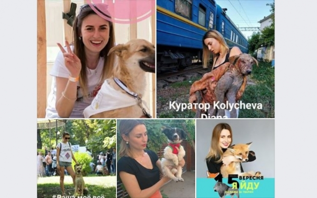 Одесская зоозащитница попала в реанимацию – ей нужна помощь неравнодушных Фото № 0 Одесская зоозащитница попала в реанимацию – ей нужна помощь неравнодушных Фото № 0