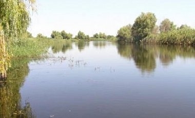 В Одесской области авто упало в Дунай: погиб водитель Фото № 0 В Одесской области авто упало в Дунай: погиб водитель Фото № 0