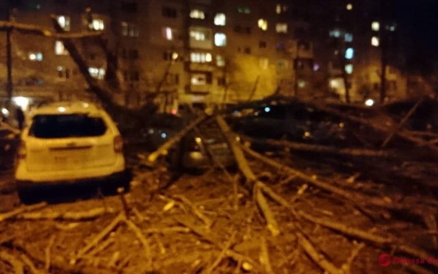 Рухнувшее на Таирова дерево повредило припаркованные автомобили Фото № 0 Рухнувшее на Таирова дерево повредило припаркованные автомобили Фото № 0