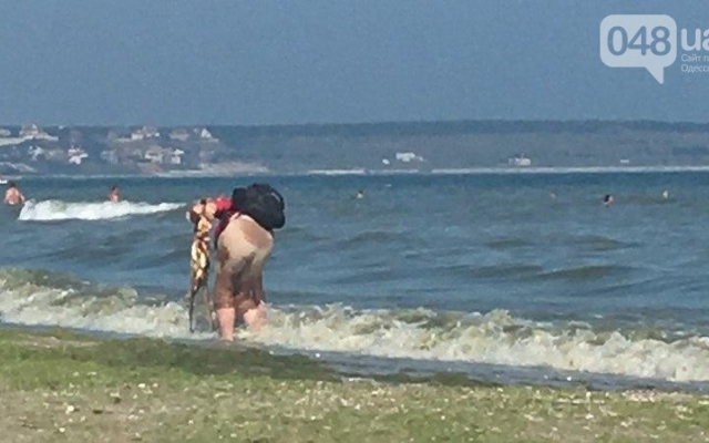 Фотофакт: на пляже в Одессе продавец мыл рыбу прямо в море Фото № 3 Фотофакт: на пляже в Одессе продавец мыл рыбу прямо в море Фото № 3