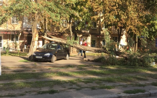 Огромная ветка упала на припаркованный автомобиль (ФОТО) Фото № 2 Огромная ветка упала на припаркованный автомобиль (ФОТО) Фото № 2