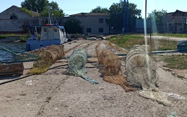 В Одесской области пограничники спасли морских животных из сетей Фото № 0 В Одесской области пограничники спасли морских животных из сетей Фото № 0