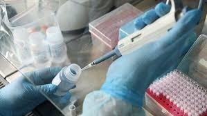 В Одесском регионе растет статистика больных с китайским вирусом Фото № 0 В Одесском регионе растет статистика больных с китайским вирусом Фото № 0