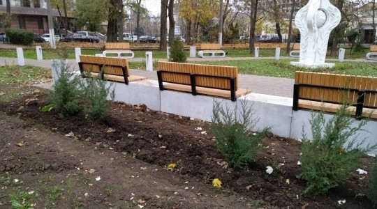Злоумышленники украли из парка 36 кустов можжевельника Фото № 1 Злоумышленники украли из парка 36 кустов можжевельника Фото № 1