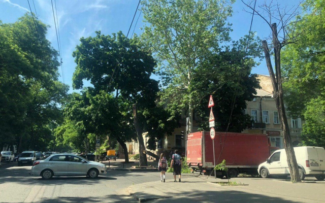 Из-за упавшей ветки на Спиридоновской затруднено движение Фото № 0 Из-за упавшей ветки на Спиридоновской затруднено движение Фото № 0