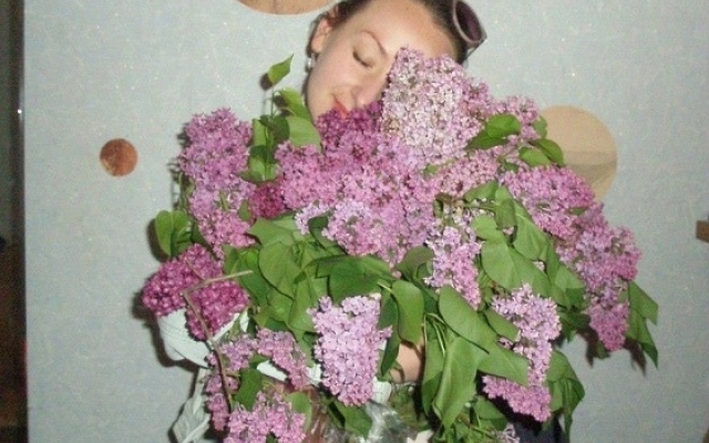 Фестиваль Фестиваль