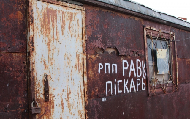 В парке жестоко убили молодого лебедя Фото № 2 В парке жестоко убили молодого лебедя Фото № 2