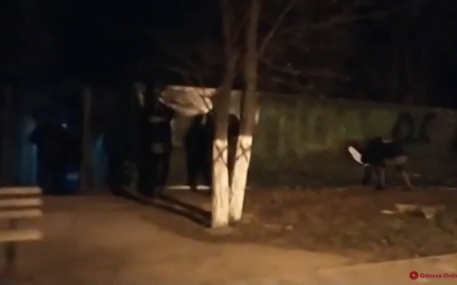 Активисты снова снесли забор вокруг скандальной стройки на Трассе здоровья Фото № 0 Активисты снова снесли забор вокруг скандальной стройки на Трассе здоровья Фото № 0