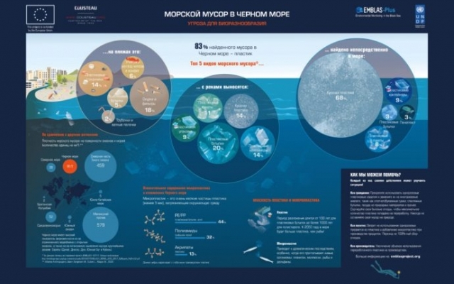 Черное море возрождается: замечены осетр и белуга Фото № 2 Черное море возрождается: замечены осетр и белуга Фото № 2