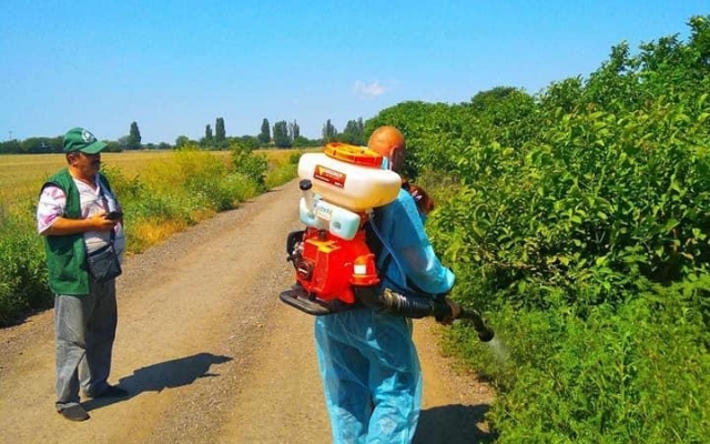 Коммунальщики создали горячую линию для уничтожения амброзии Фото № 0 Коммунальщики создали горячую линию для уничтожения амброзии Фото № 0