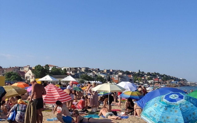В Одесской области зацвело море Фото № 3 В Одесской области зацвело море Фото № 3